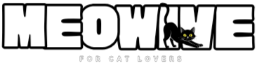 Meowive | The Modern Cat Lifestyle Blog & Shop