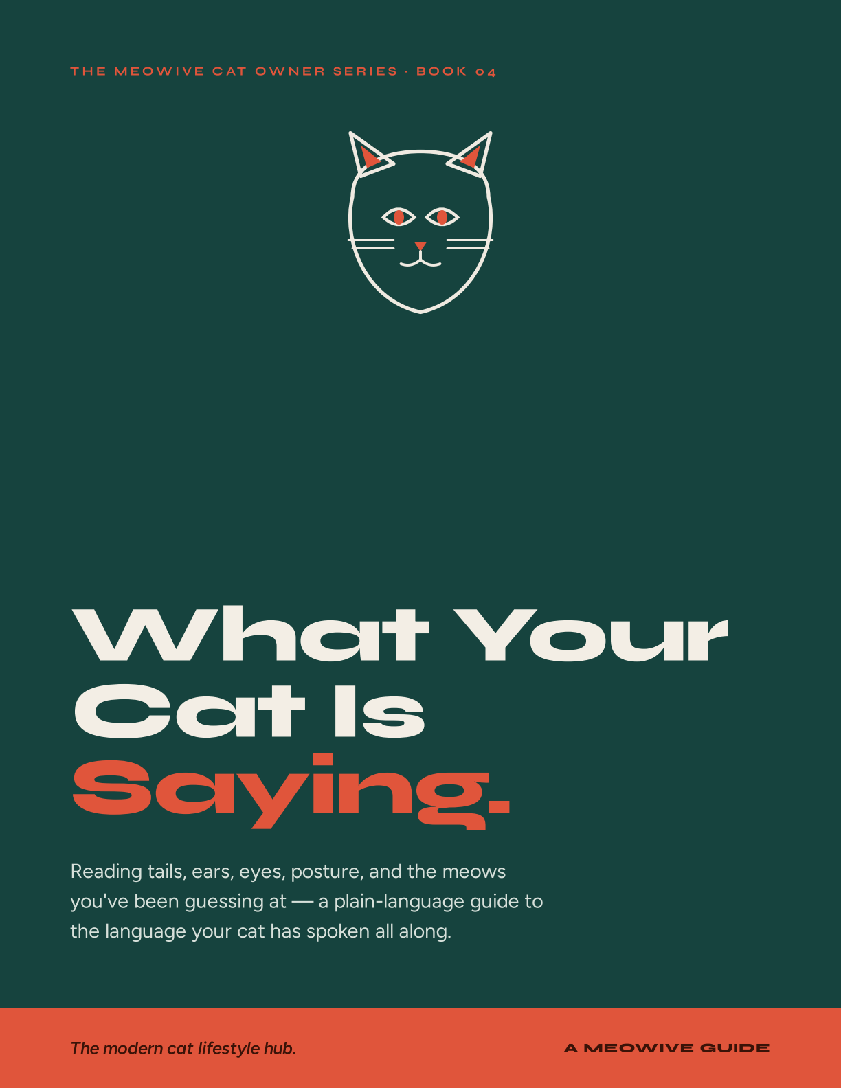 What Your Cat Is Saying