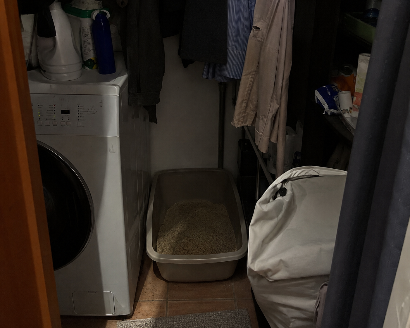 Example of a poorly placed litter box crammed next to a washing machine in a closet