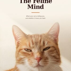 The Feline Mind