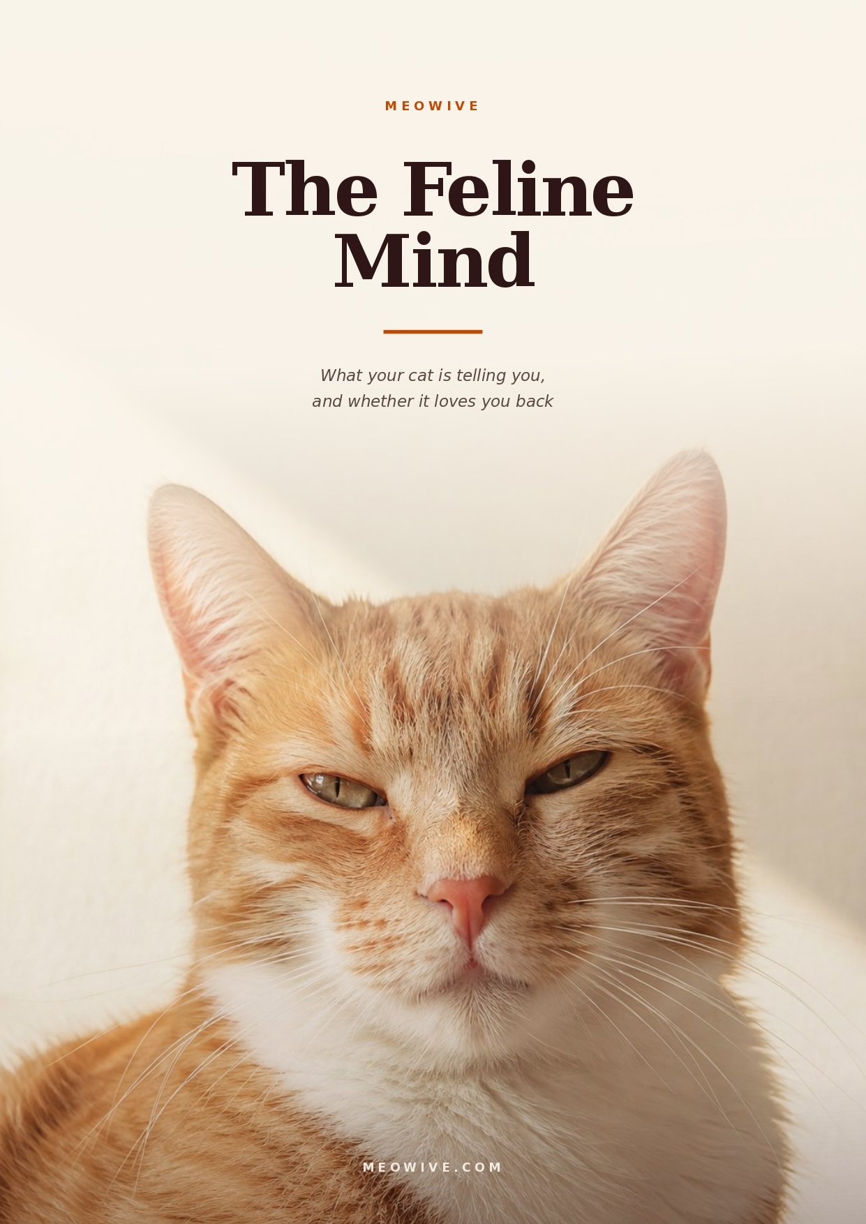 The Feline Mind