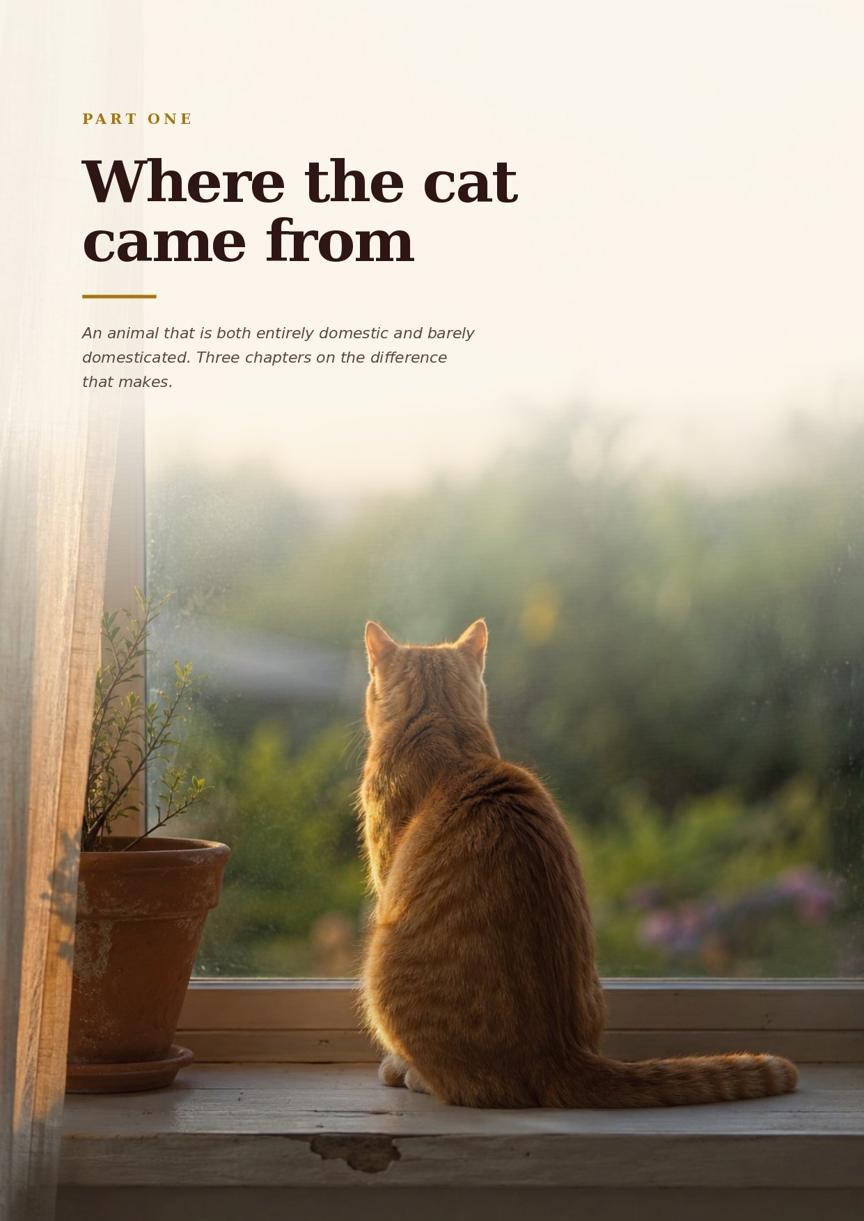 Inside the book &mdash; where the cat came from