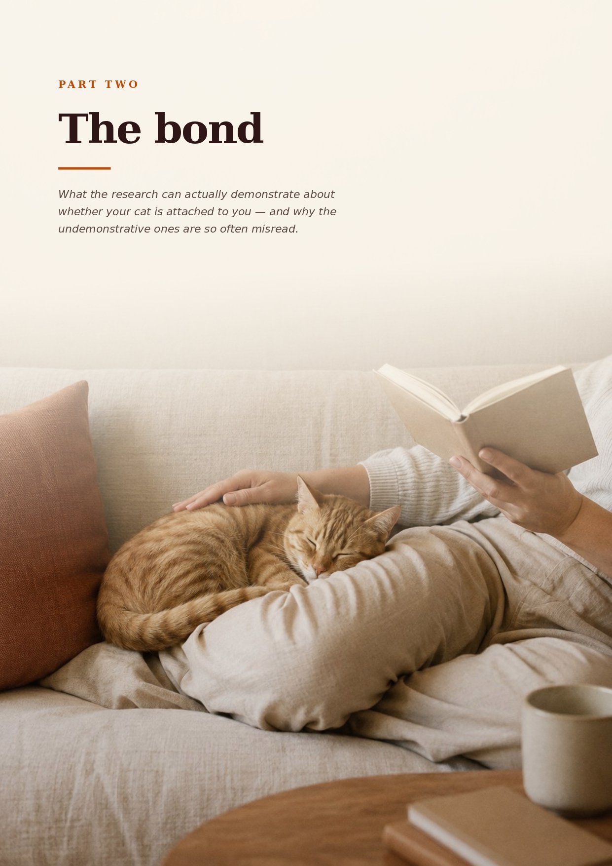 Inside The Feline Mind &mdash; a sample page