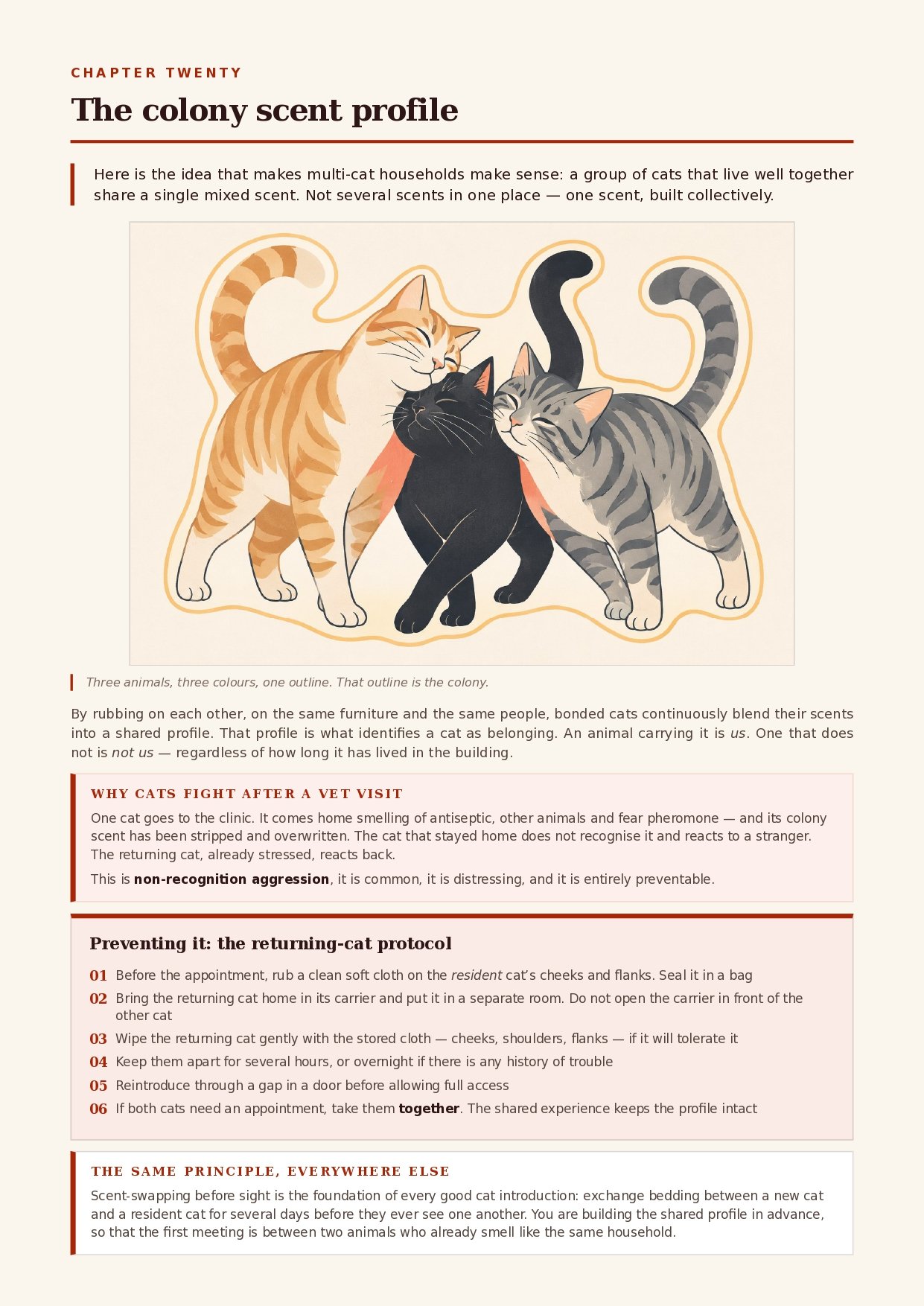 Inside the book &mdash; the feline scent world