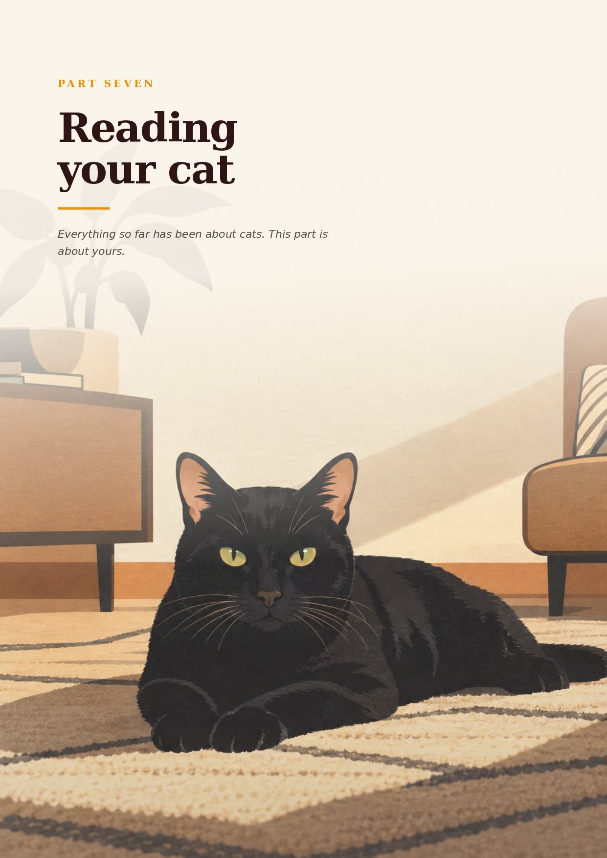 The Feline Mind - Image 8
