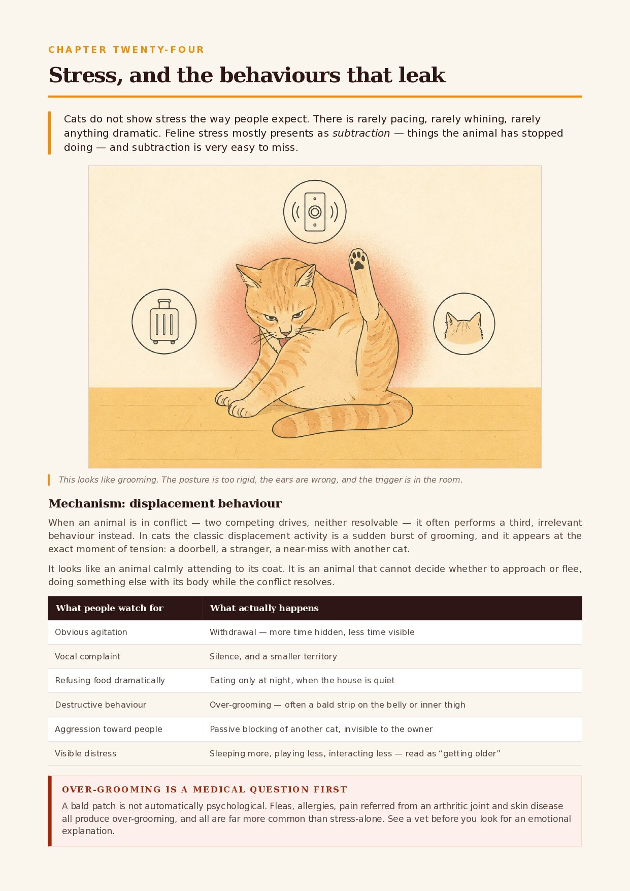 Inside the book &mdash; reading your own cat