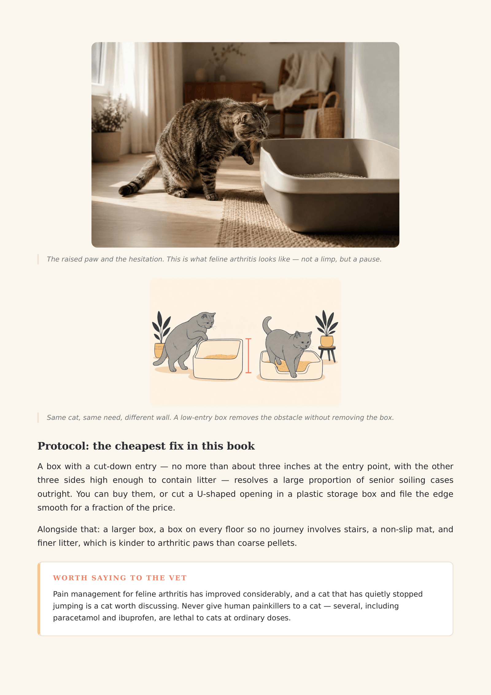 Inside the book — arthritis and litter box entry height