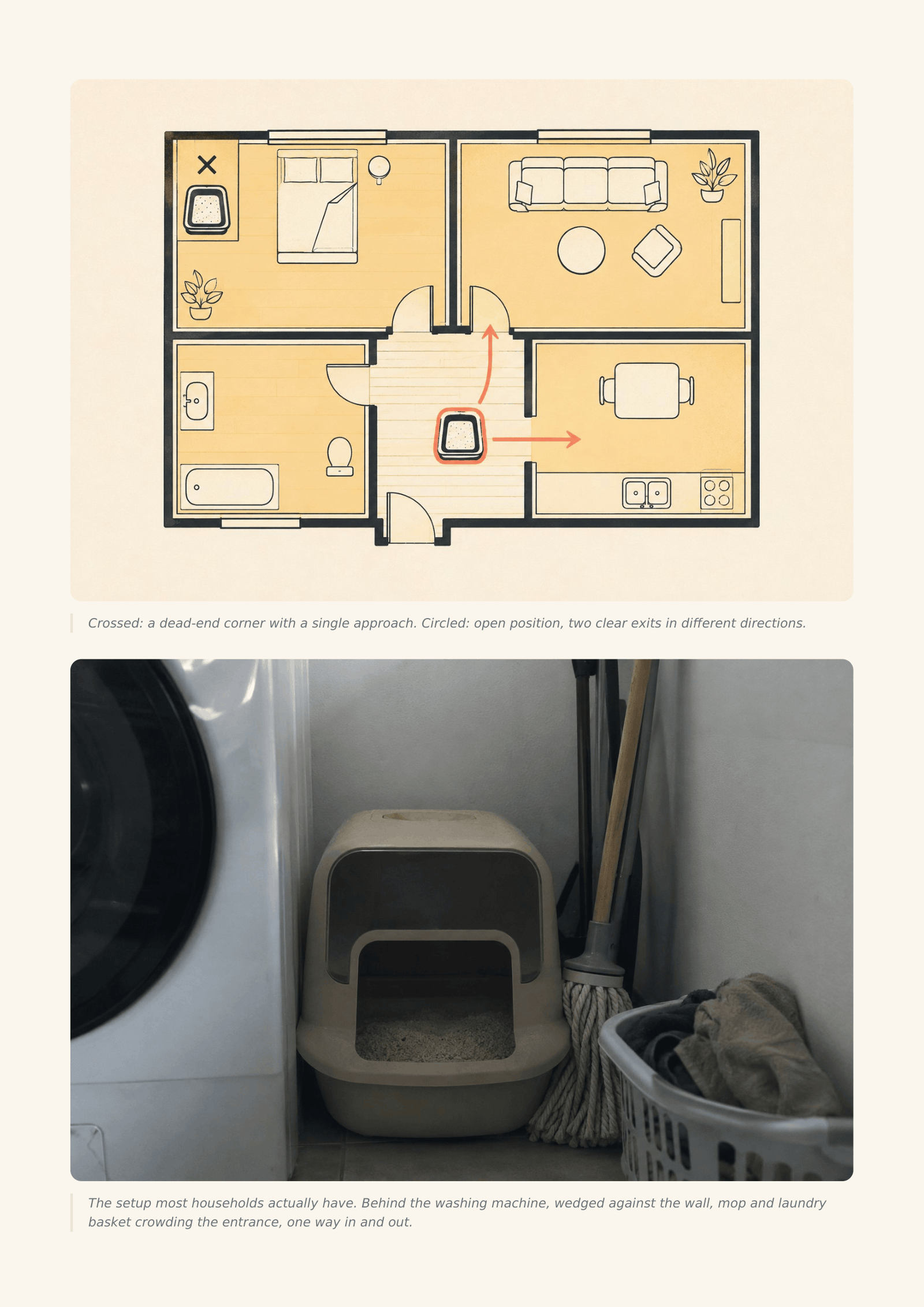 Inside the book — box sizing and measurement