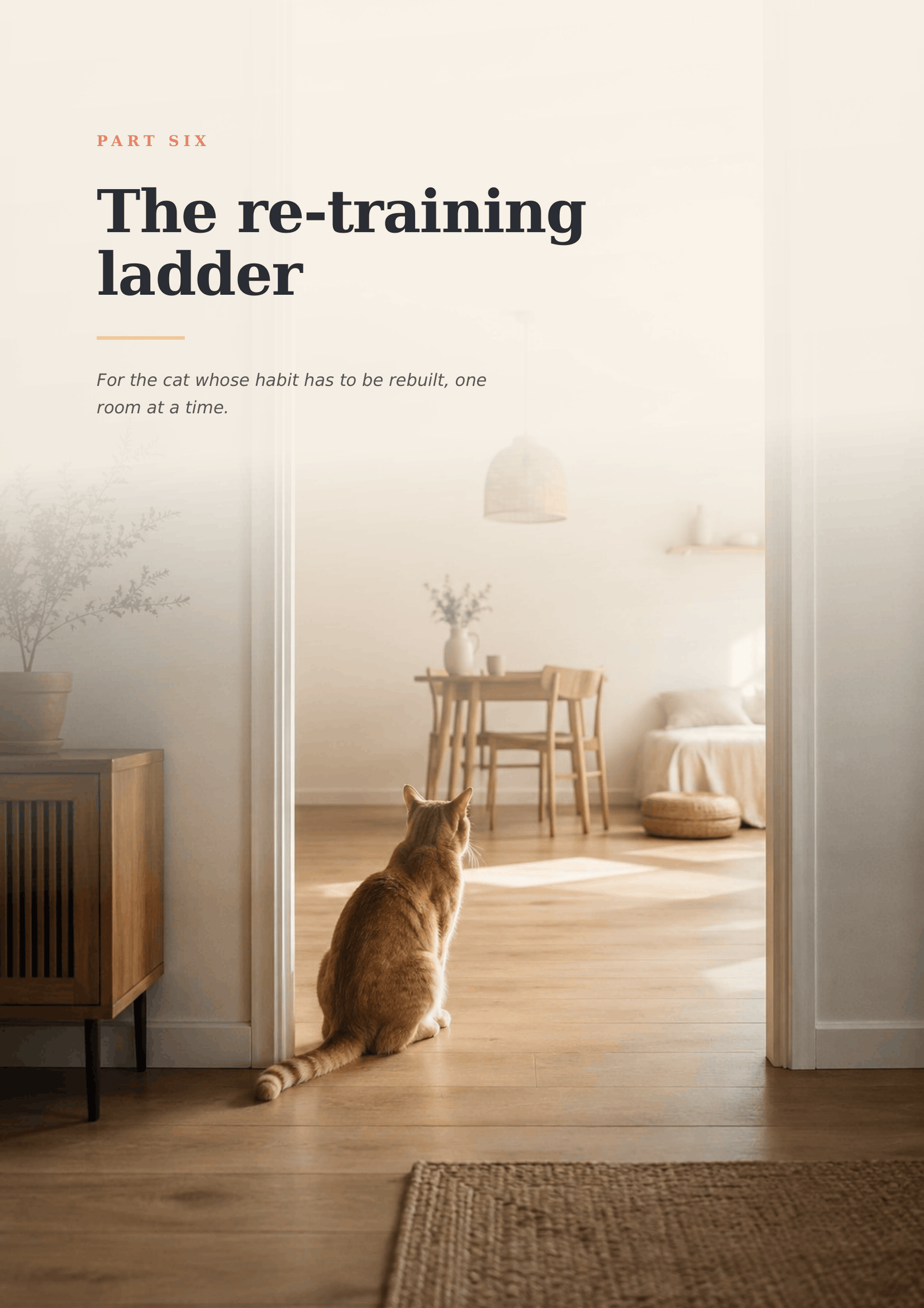 Inside the book — the re-training ladder