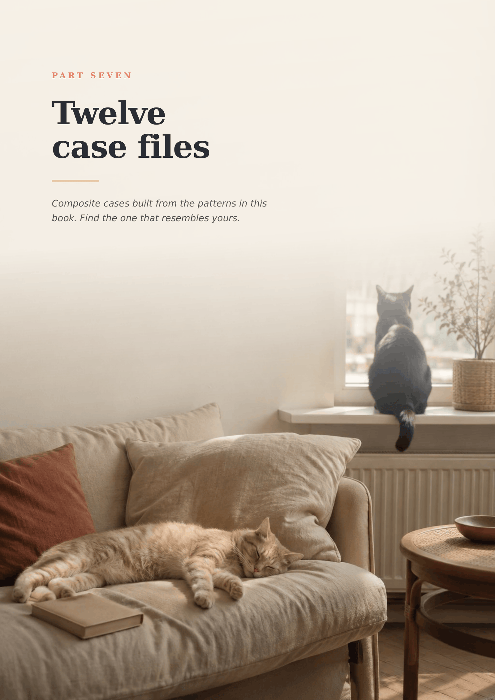 Inside the book — twelve case files