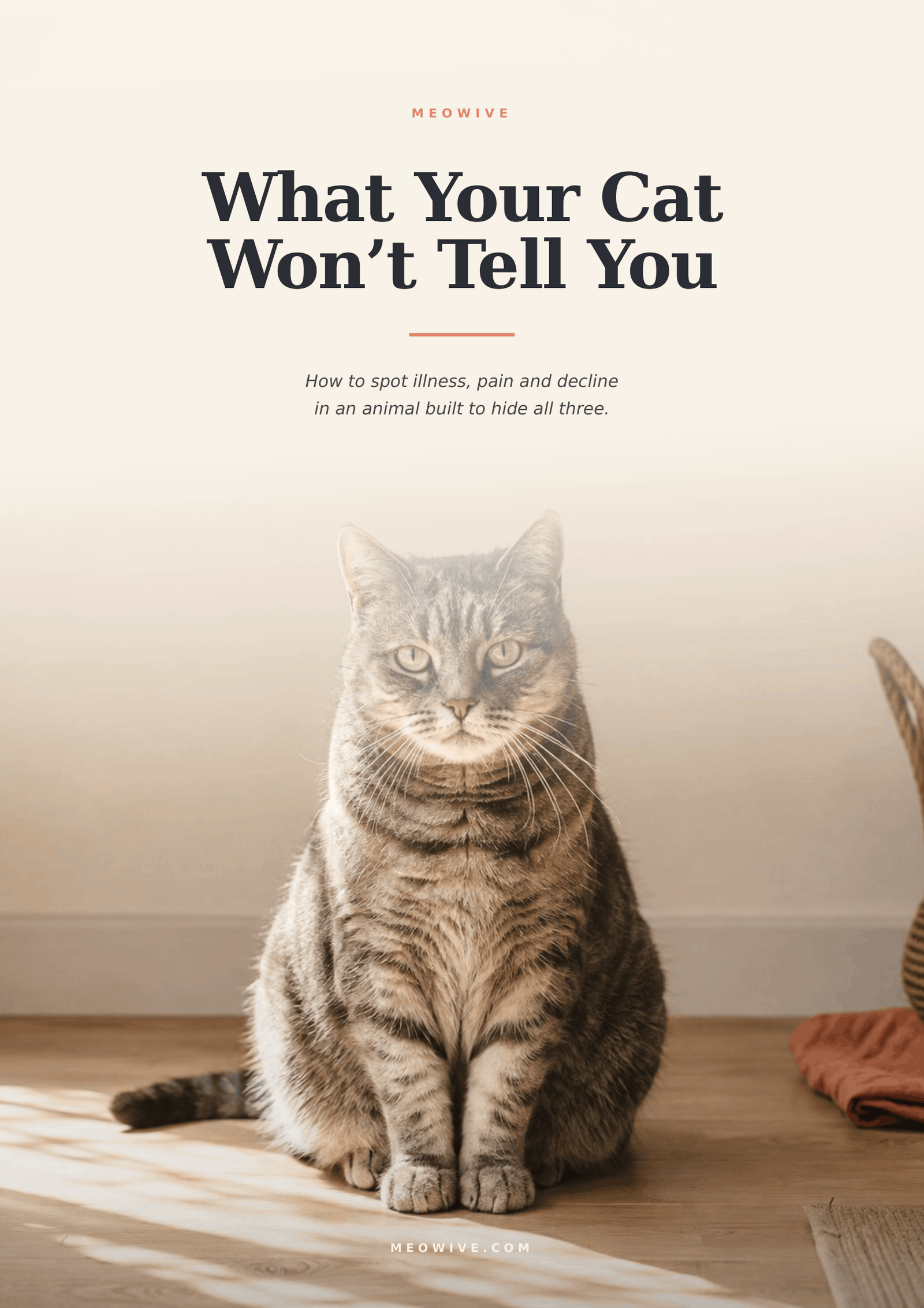 What Your Cat Won't Tell You — book cover