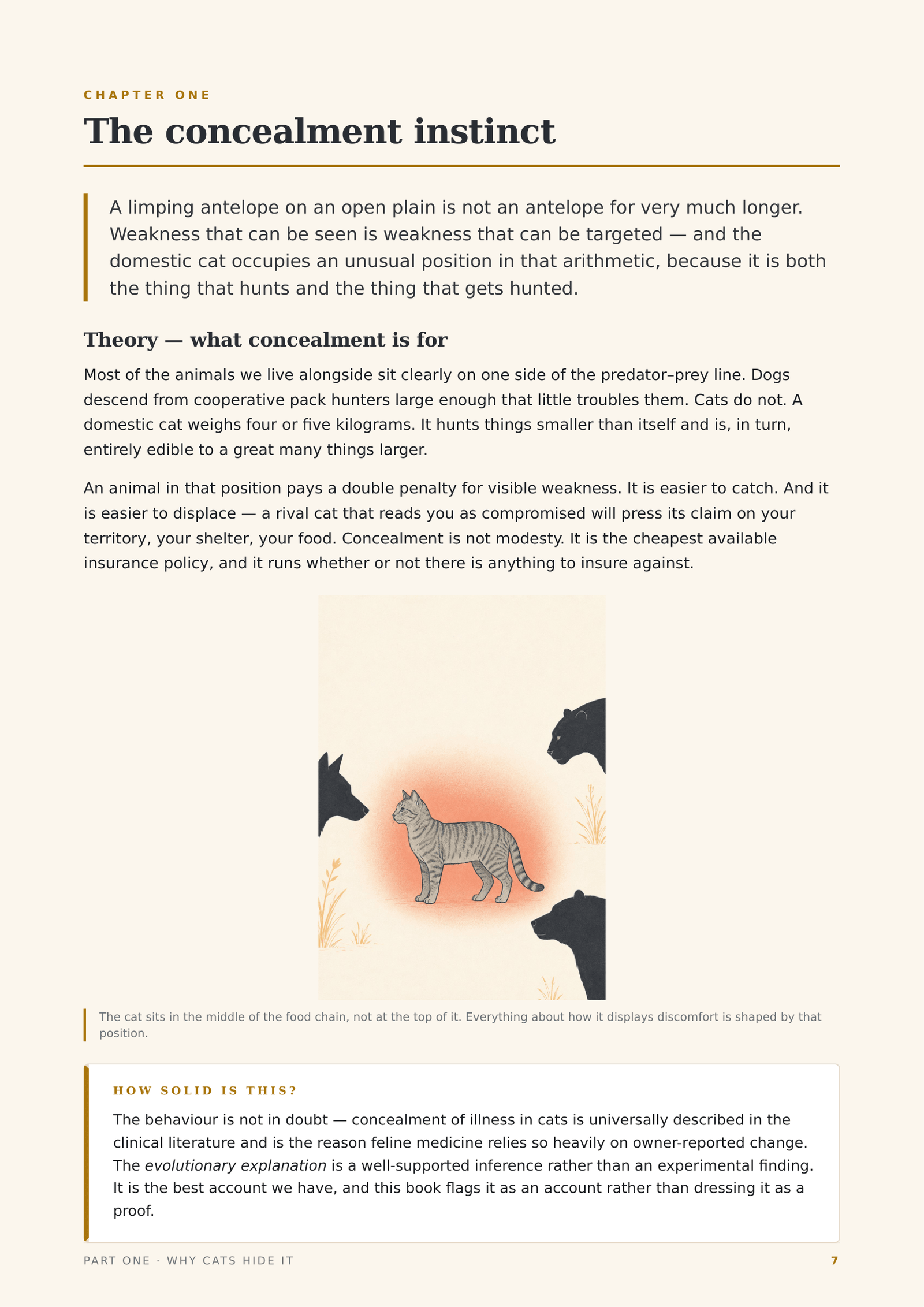 What Your Cat Won't Tell You - Image 3