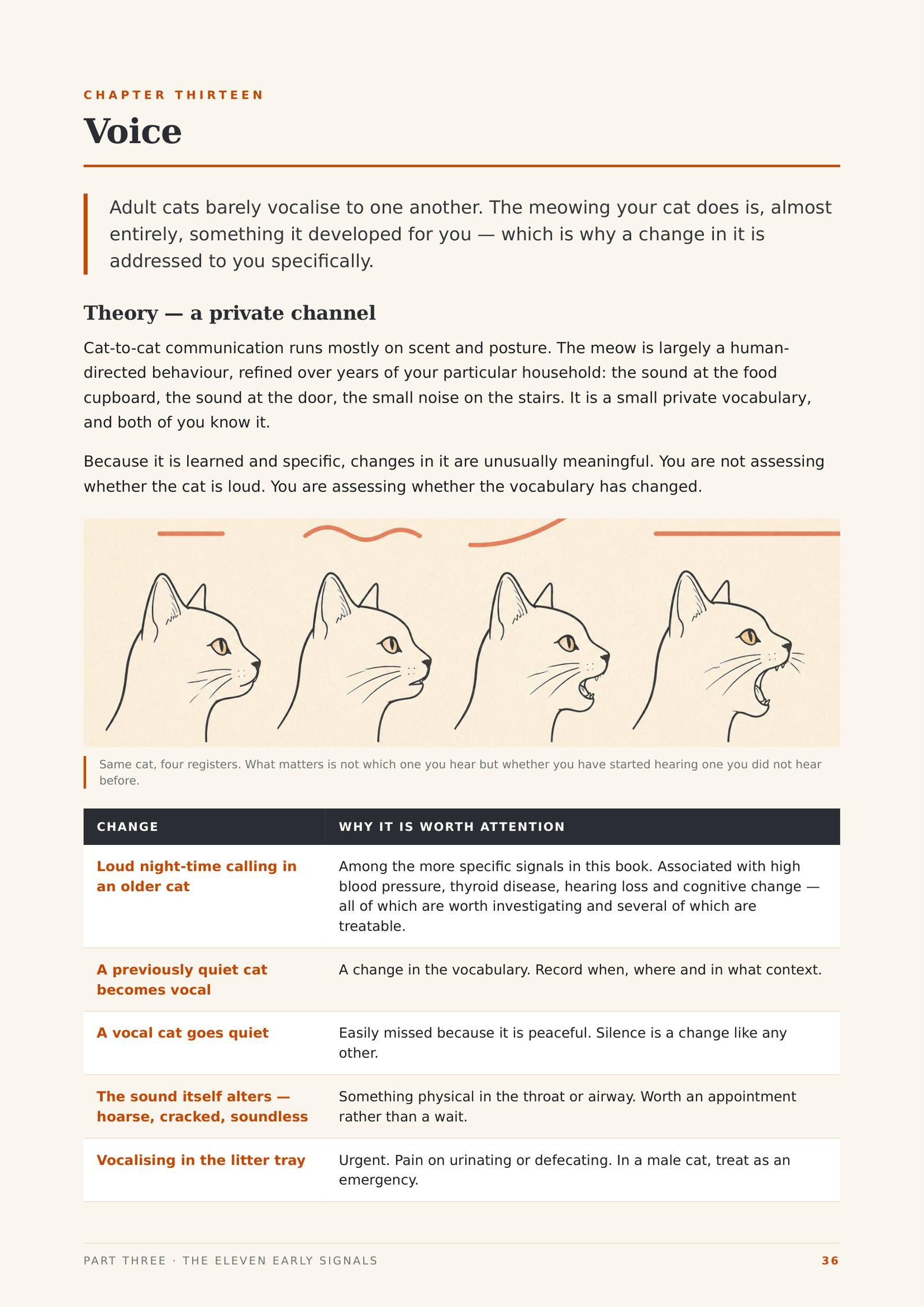 What Your Cat Won't Tell You - Image 8