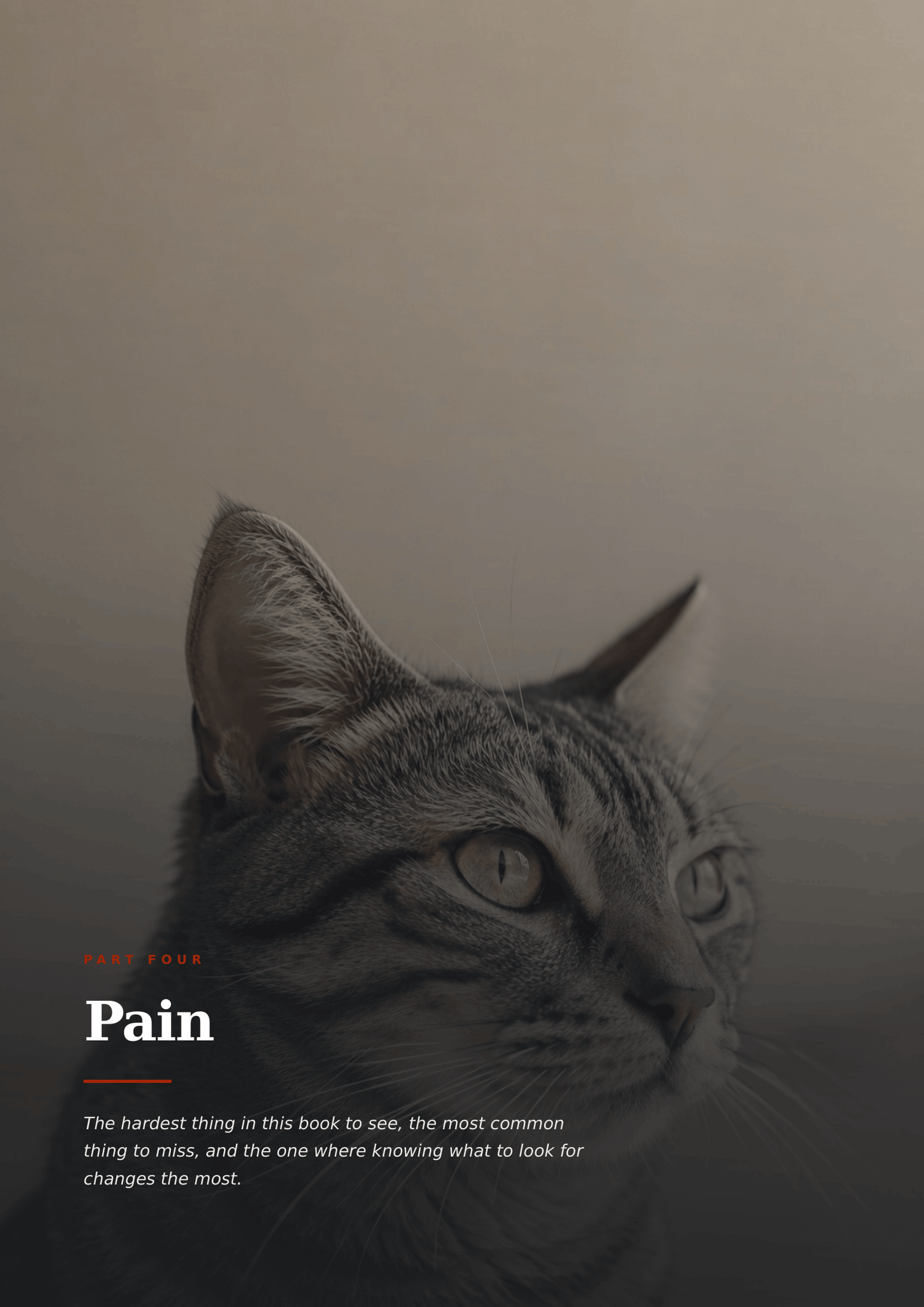 What Your Cat Won't Tell You - Image 10