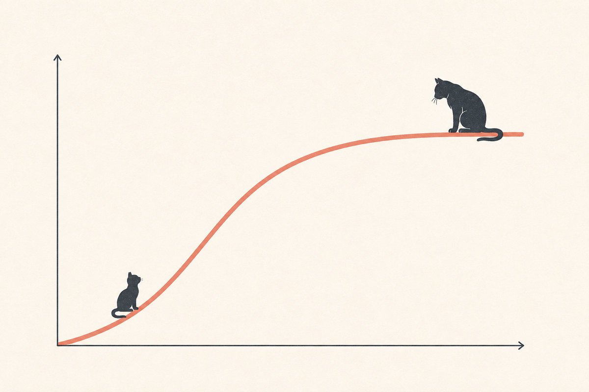 Cat age to human years conversion curve