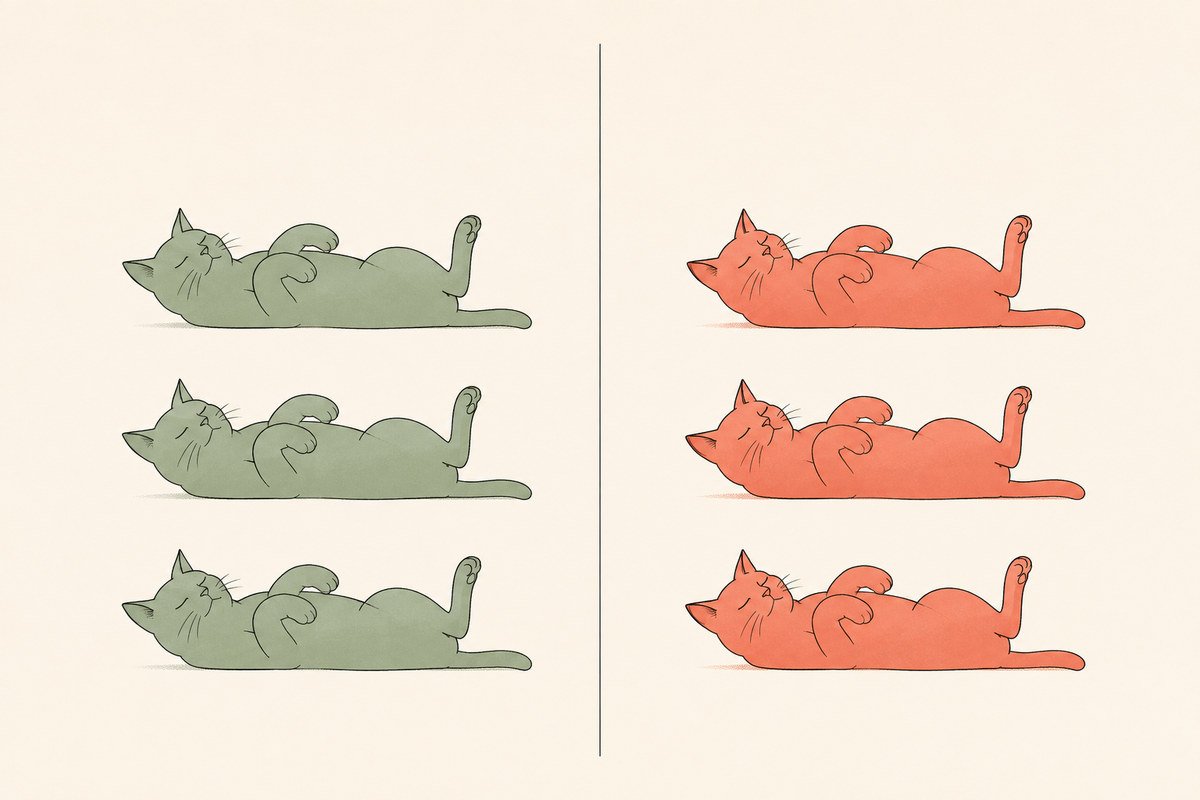 Commonly misread cat body language signals