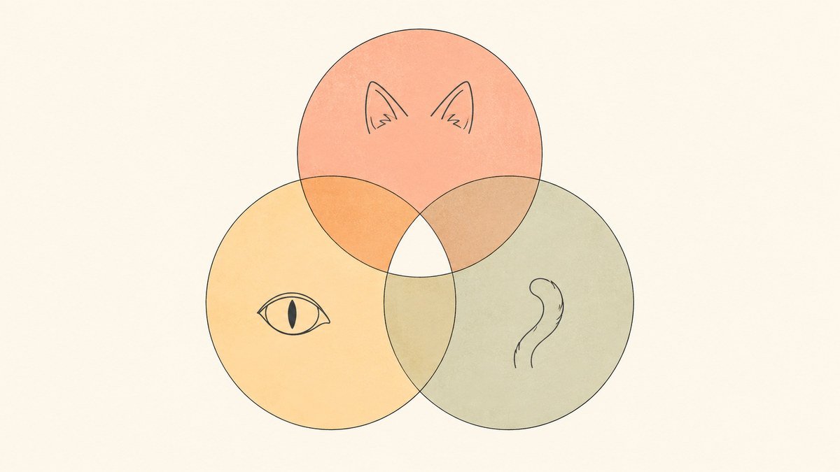Reading cat body language using ears eyes and tail together