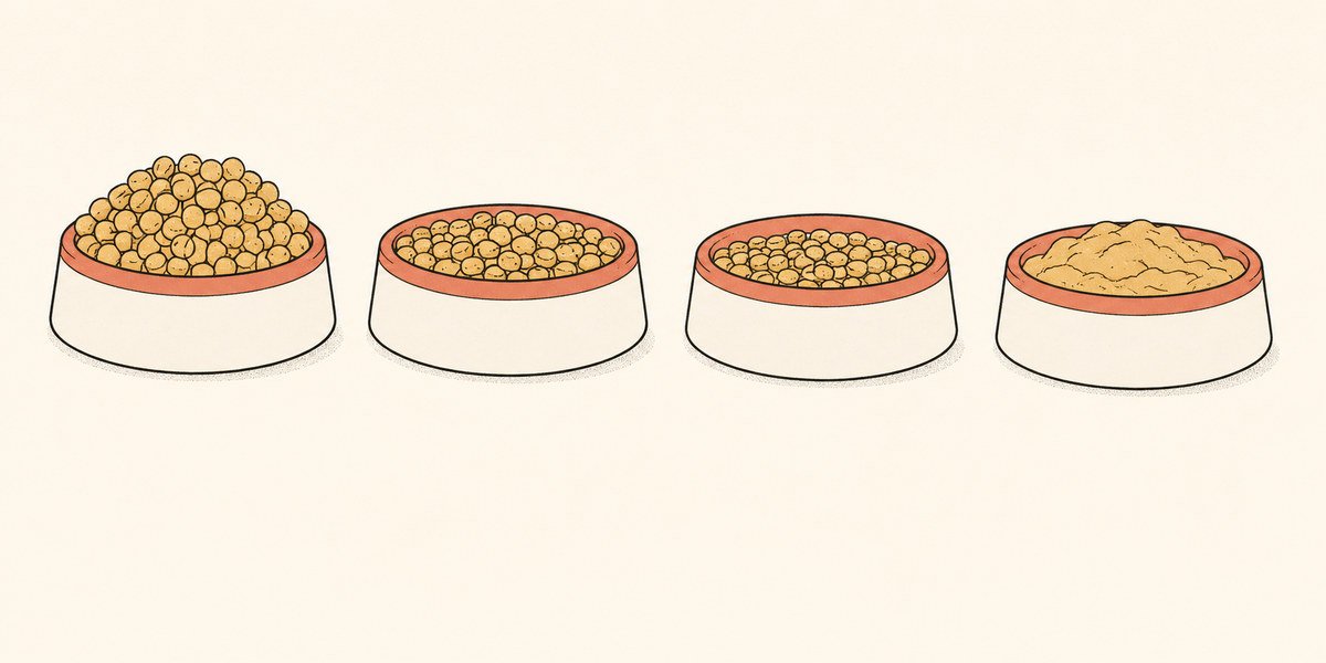How a cat's diet changes across life stages