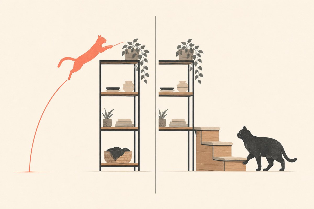 Cat mobility and joint changes from young to senior