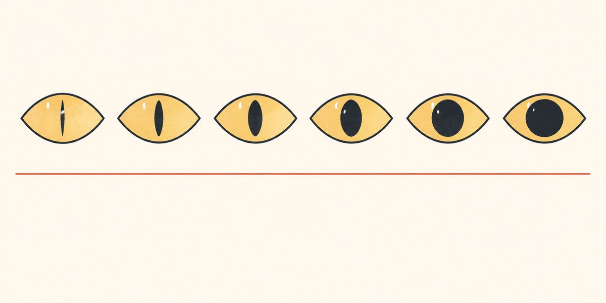 Cat pupil dilation scale from slit to fully round