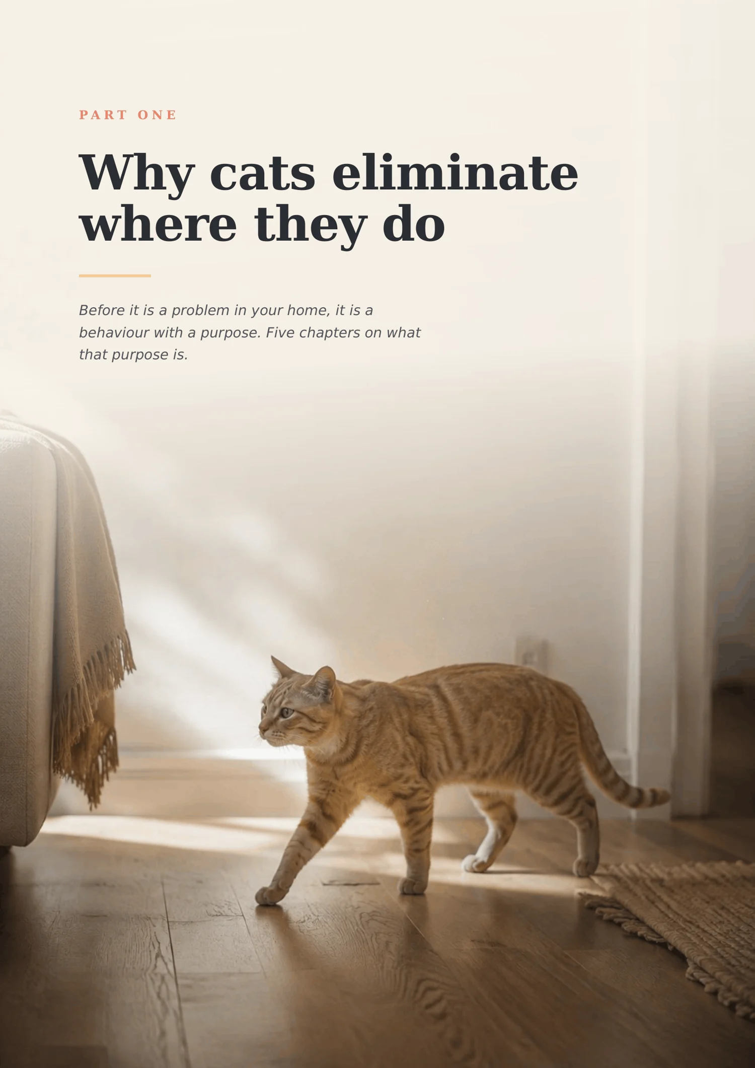 The Litter Box Protocol - Image 2