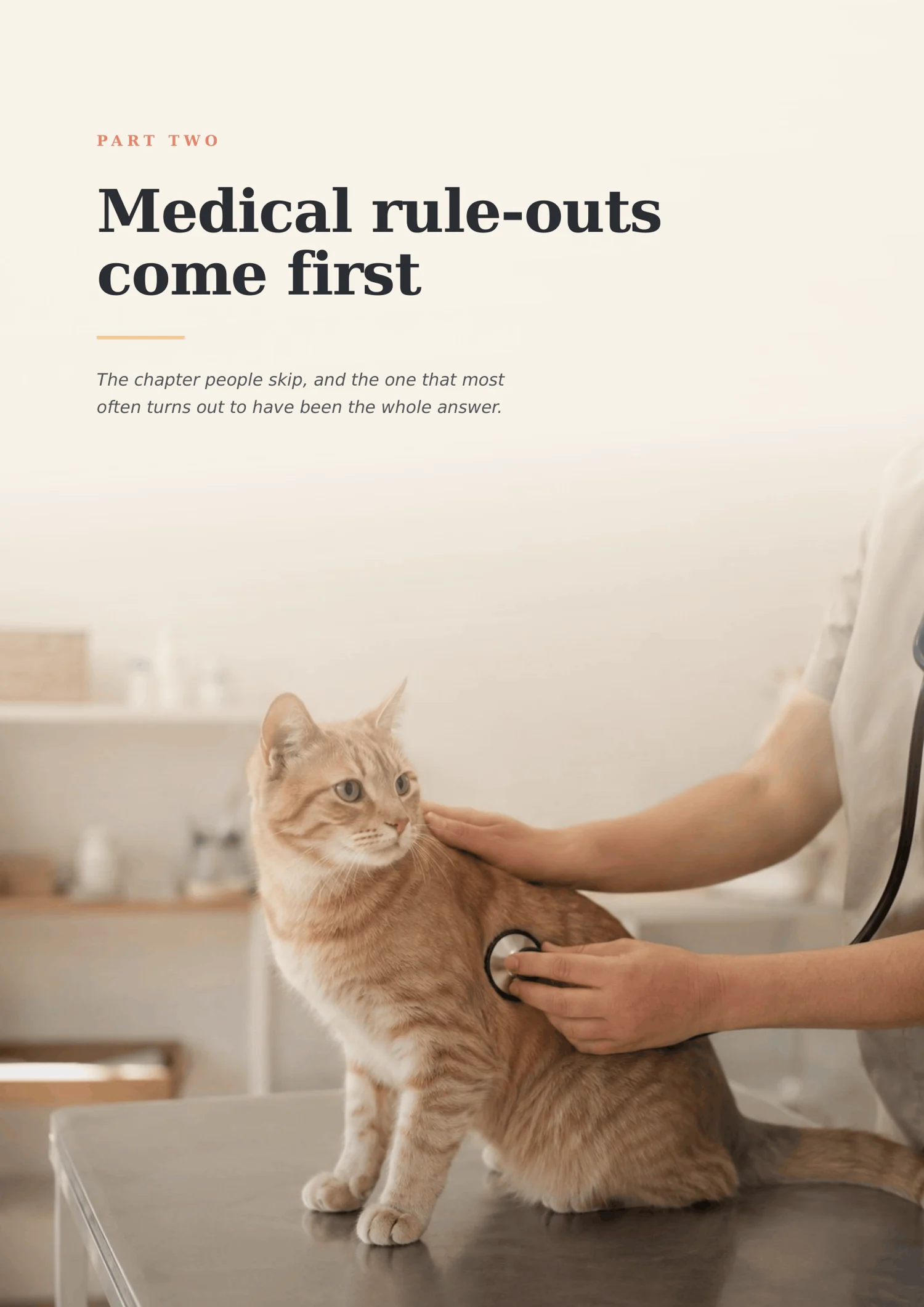 The Litter Box Protocol - Image 4