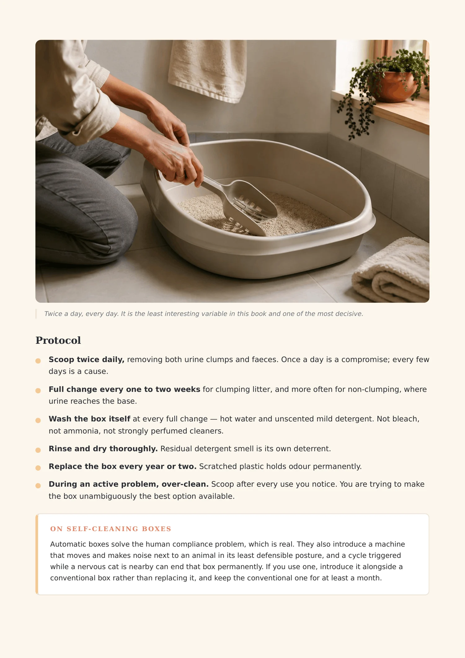 The Litter Box Protocol - Image 6
